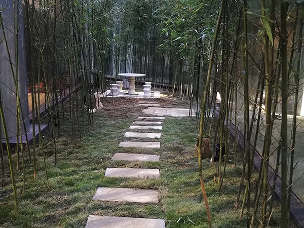 靖州茯苓館貿(mào)易中心庭院景觀(guān) (14)
