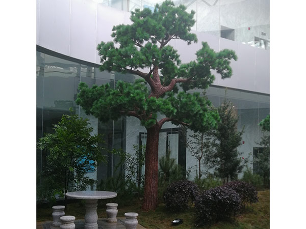 靖州茯苓館貿(mào)易中心庭院景觀(guān) (10)